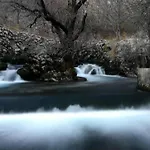 Magnolija Siroki Brijeg