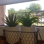 Magnolija * Siroki Brijeg