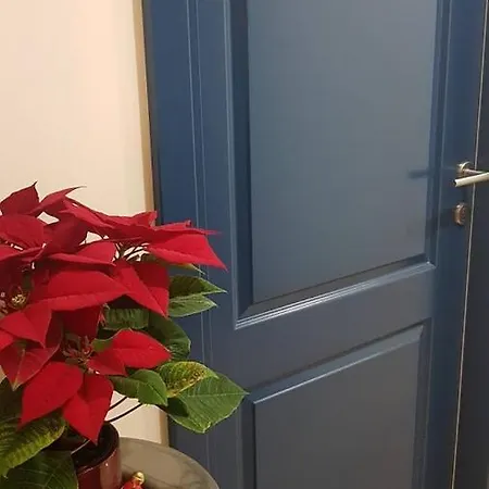 Magnolija *