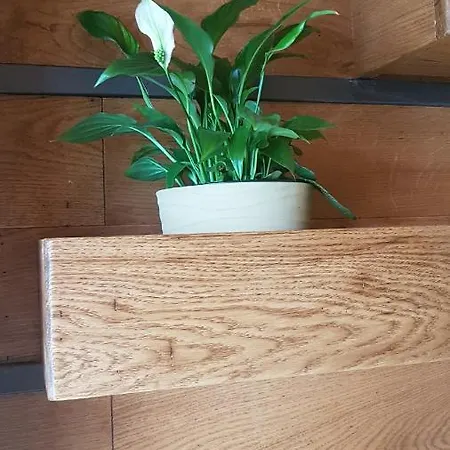 公寓 Magnolija Široki Brijeg