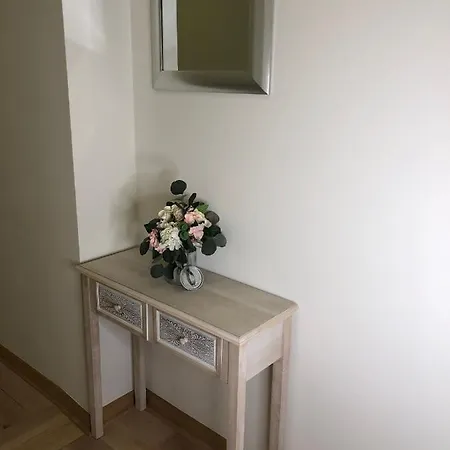 Magnolija *
