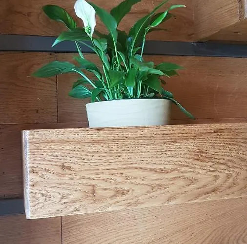 Appartamento Magnolija Široki Brijeg