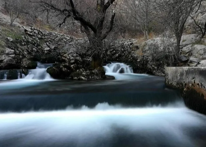 Magnolija Široki Brijeg